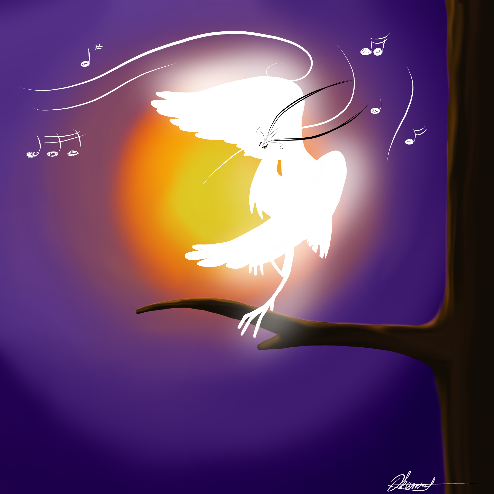 Illustration D'un oiseau blanc, lumineux et dansant sur la branche d'un arbre. Il y a des notes de musique autour et derrière une lumière orangée.